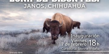 Exposición sobre los Bisontes de Janos en el Museo de Arte de Ciudad Juárez