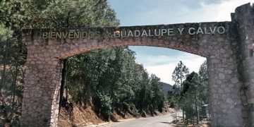 Guadalupe y Calvo anegado en sangre por el narcoterrorismo: Movimiento Ciudadano 