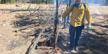 Quince Incendios Forestales Activos, 344 Brigadistas los Combaten
