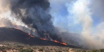 Aún sin control 13 incendios forestales en 8 municipios