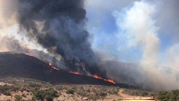 Aún sin control 13 incendios forestales en 8 municipios