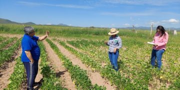 Apoyo gubernamental a productores con gastos de seguros agrícolas