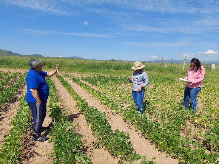 Apoyo gubernamental a productores con gastos de seguros agrícolas