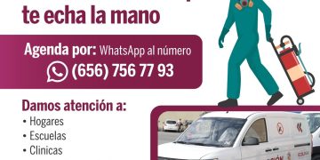 Invita Ecología a solicitar servicio de fumigación gratuita