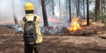 Incontrolables los incendios forestales ya son 11 en 6 municipios