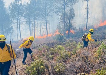 Inicia aeronave operaciones para apagar incendios en Casas Grandes