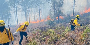 Inicia aeronave operaciones para apagar incendios en Casas Grandes
