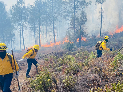 Inicia aeronave operaciones para apagar incendios en Casas Grandes