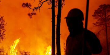 Ahora son 15 incendios forestales activos en la entidad, aumentaron