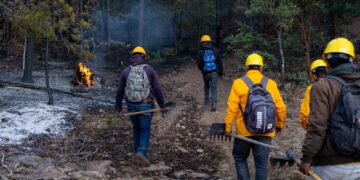 Imbatibles los incendios forestales hay 12 frentes