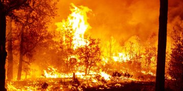 Imbatibles ocho incendios forestales en cinco municipios