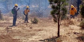 Activos 18 incendios forestales en la entidad