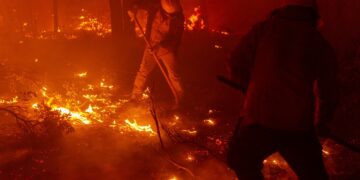 El fuego devasta 17 mil Hectáreas en el estado