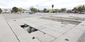 ¿Por que votar por el proyecto  875 del presupuesto participativo 2025?