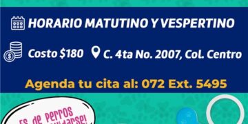 Ofrecen Municipio servicio de esterilización  a mascotas en consultorio de la calle Cuarta