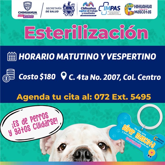 Ofrecen Municipio servicio de esterilización  a mascotas en consultorio de la calle Cuarta