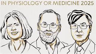 El Nobel de Medicina a descubrimiento en tolerancia inmunitaria