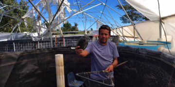 Samalayuca cosecha tilapia fresca en proyecto familiar que impulsa economía y turismo local
