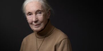 Murió Jane Goodall, tras una vida dedicada al estudio del comportamiento animal