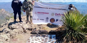 Destruye célula BOII campamento criminal y asegura armamento en Moris