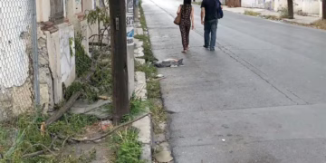 Banquetas rotas y baches: Juárez falla en movilidad peatonal segura
