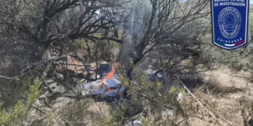 Operativo conjunto destruye campamento de halcones en Jiménez