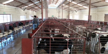 Fortalece Gobierno estatal sanidad agropecuaria con 150 mdp
