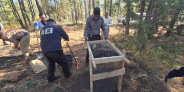 Hallan restos calcinados en Madera