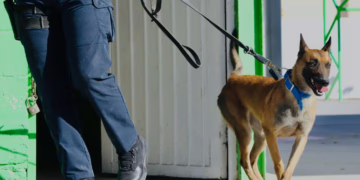 Descartan presencia de bomba en primaria Fidel Ávila tras revisión con canino K-9