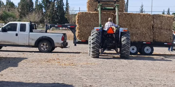 Arranca SDR entrega de pacas de esquilmos a productores del estado