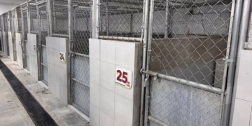 Rehabilitan Centro de Bienestar Animal tras décadas de abandono