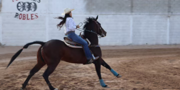 Todo listo para el Selectivo Juvenil Estatal de Rodeo CONADE 2026
