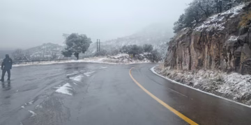 CEPC reporta nieve en 11 municipios por tormenta invernal