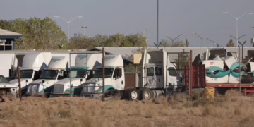 Áreas verdes perdidas en el suroriente de Juárez
