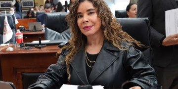 Acertado fin al decreto de autos “chocolate”: Diputada Pérez Reyes
