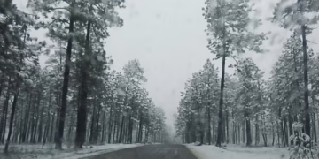 Nieve cubre tres municipios de la Sierra Tarahumara
