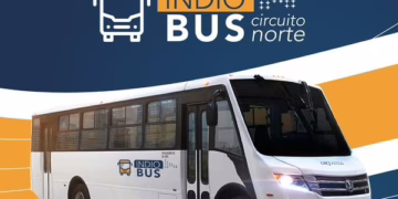 Indiobus se expande: nuevo Circuito Norte arranca el 19 de enero
