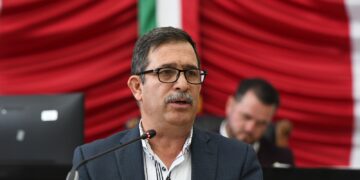Urgen medidas contra plagas forestales en Chihuahua