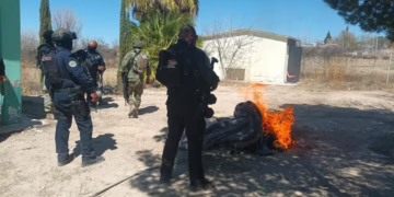 Aseguran vehículos robados y desmantelan campamento criminal en Ojinaga