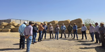 Gobierno de Chihuahua invierte más de 231 mdp en el campo del sur durante 2025