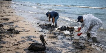 La marea negra asfixia al Golfo