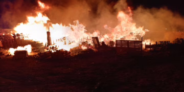 Incendio en predio con tarimas moviliza a bomberos en Granjas Polo Gamboa