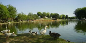 Un juez federal frena en seco el andamiaje legal del Parque Central en Ciudad Juárez