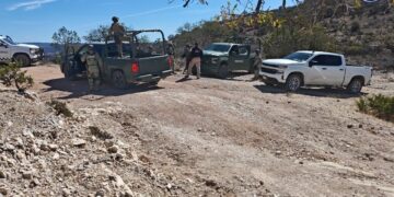 Un detenido y cinco campamentos desmantelados en Nonoava