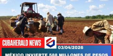 México envía $588 millones más para “Sembrando Vida” en Cuba
