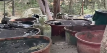 Autoridades aseguran uno de los narcolaboratorios más grandes detectados en la Sierra Tarahumara