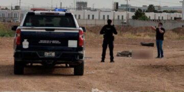 Jauría de perros mata a hombre en el Rastro Municipal de Juárez