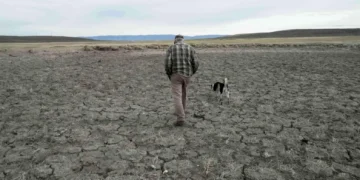 Sequía récord azota EE.UU. y eleva alerta por incendios y alimentos