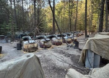 Agentes de la CIA en Chihuahua participaron en la detención de “El Mencho” en Jalisco