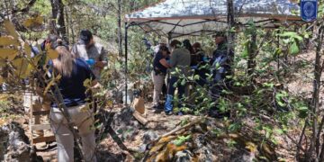 Localizan restos óseos con alteración térmica en Bocoyna